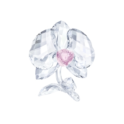 Swarovski Orchidea kristály dísz (5301562) Swarovski Orchidea kristály dísz (5301562)