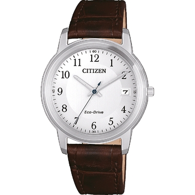 Citizen Eco-Drive női óra (FE6011-14A)