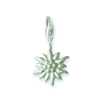 Thomas Sabo Havasi gyopár charm (0163-001-12) Thomas Sabo Havasi gyopár charm (0163-001-12)