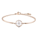 Swarovski North karperec 18,5 cm - 5495771