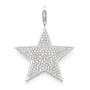 Thomas Sabo medál - T0253-051-14