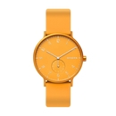 Skagen Aaren óra - SKW6510