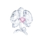 Swarovski Orchidea kristály dísz (5301562) Swarovski Orchidea kristály dísz (5301562)