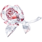 Swarovski Blossoming Rose kristály dísz (5428561)