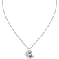 Swarovski Polar nyaklánc (5491551)
