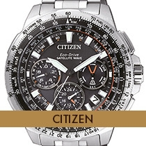 Citizen Citizen