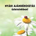 Nyári ajándékosztás üzleteinkben!